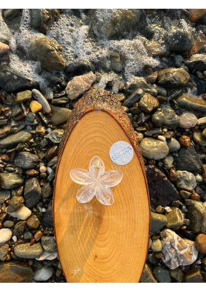 Şeffaf Simli Lotus Toka fiyatları