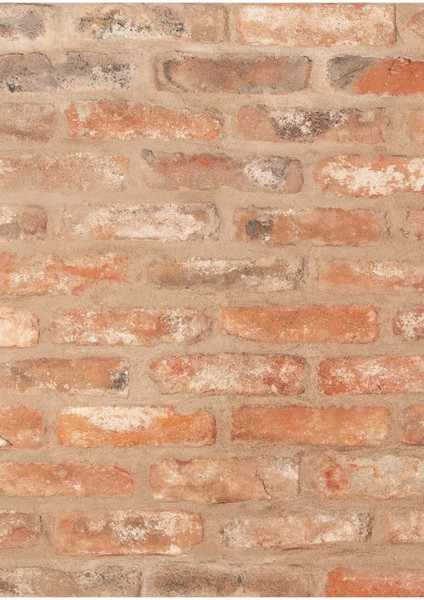 Rustik Tuğla Vinil Backdrop – Kırpık Dokulu Tuğla Desenli Fotoğraf Arka Planı (80×120 Cm) fiyatları