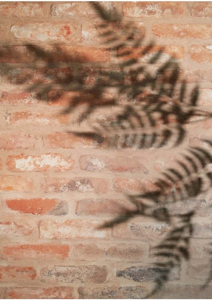 Rustik Tuğla Vinil Backdrop – Kırpık Dokulu Tuğla Desenli Fotoğraf Arka Planı (80×120 Cm) modelleri