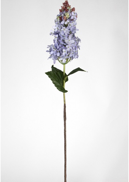 Sümbül 82CM 0105813