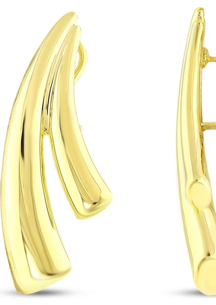 Tasarım Altın Küpe - 14K fiyatları