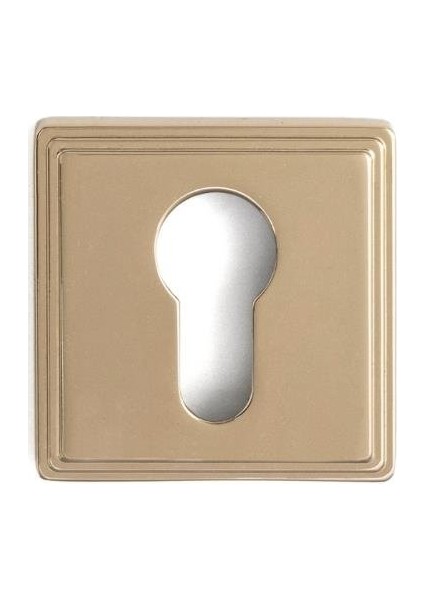 RO17 Kapı Kolu Rozeti Yale (Dış Kapı) Gold Branch 53X53X10 mm