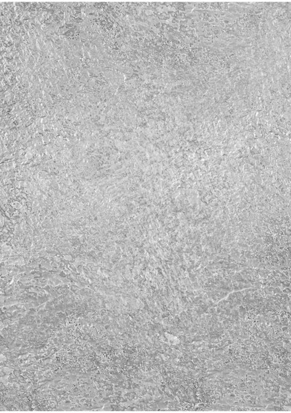 Işık Yüzeyi Vinil–metalik Dokulu Profesyonel Fotoğraf ve Video Çekim Arka Planı (80×120 Cm) fiyatları