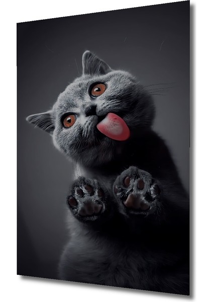 Tekir Kedi Sevimli Sulu Boya Görünümlü Dekoratif Ahşap Tablo Dikdörtgen Tablo modelleri