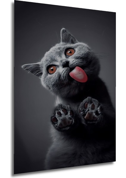 Tekir Kedi Sevimli Sulu Boya Görünümlü Dekoratif Ahşap Tablo Dikdörtgen Tablo fırsatları