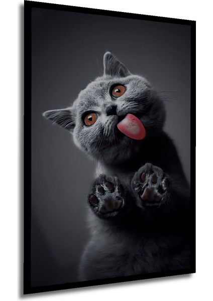 Tekir Kedi Sevimli Sulu Boya Görünümlü Dekoratif Ahşap Tablo Dikdörtgen Tablo