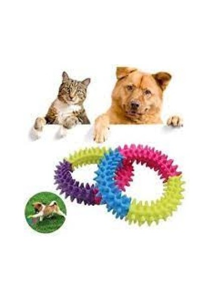 Köpek Isırma Kaşıma Çemberi 9,5 cm