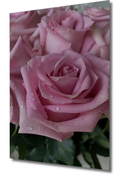 Pembe Gül Demeti Yağlı Boya Görünümlü Ahşap Dekoratif Tablo Dikdörtgen Tablo modelleri