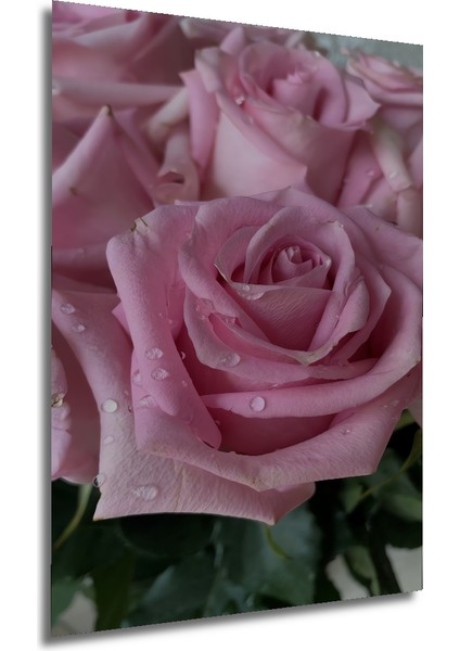 Pembe Gül Demeti Yağlı Boya Görünümlü Ahşap Dekoratif Tablo Dikdörtgen Tablo fırsatları