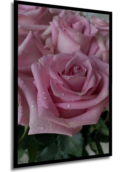 Pembe Gül Demeti Yağlı Boya Görünümlü Ahşap Dekoratif Tablo Dikdörtgen Tablo