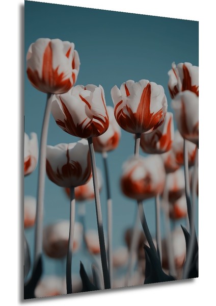 Ahşap Dekoratif Tablo Kırmızı Beyaz Laleler Yağlı Boya Görünümlü Sanat Eseri Dikdörtgen Tablo fırsatları