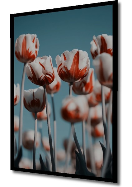Ahşap Dekoratif Tablo Kırmızı Beyaz Laleler Yağlı Boya Görünümlü Sanat Eseri Dikdörtgen Tablo indirimleri