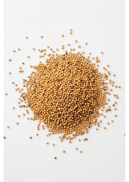 Hardal Tohumu - ( Elenmiş, Katkısız,organik ) 250GR modelleri