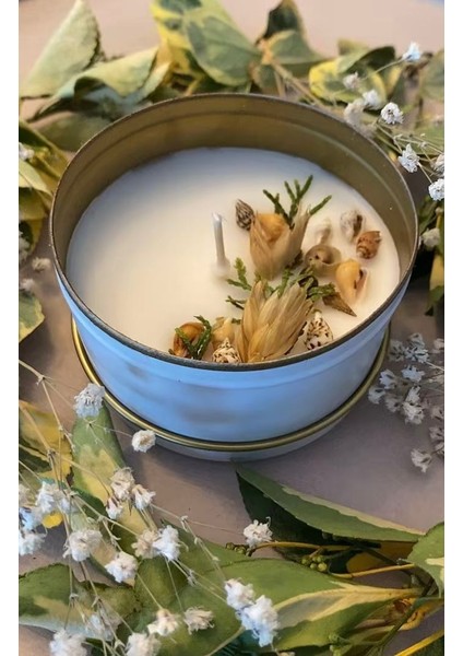 Para Mıknatısı Terapi Mumu Hindistan Cevizi Kokulu fiyatları