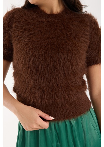 Kadın Acı Kahve Sakal Iplik Kısa Kollu Bisiklet Yaka Triko Kazak fırsatları