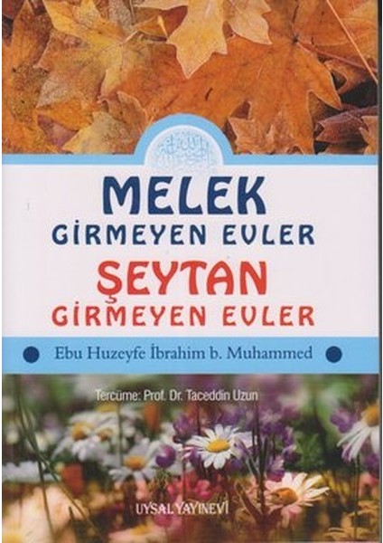Melek Girmeyen Evler - Şeytan Girmeyen Evler
