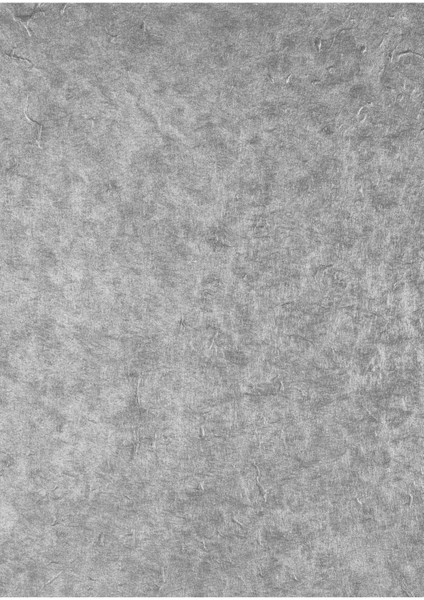 Sessiz Gri Vinil Backdrop – Profesyonel Fotoğraf ve Video Çekim Arka Planı (80×120 Cm)