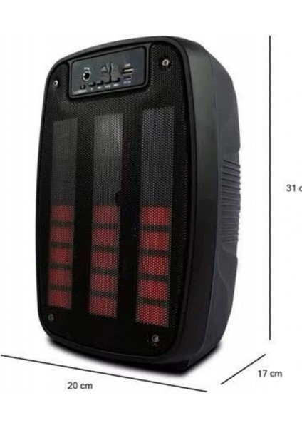 Taşınabilir 6.5 Inç LED Bluetooth Kareoke Hoparlör Rgb Işıklı Radyolu indirimleri