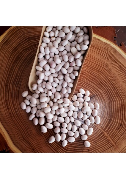 Erzurum Ipsir Fasulyesi fiyatları