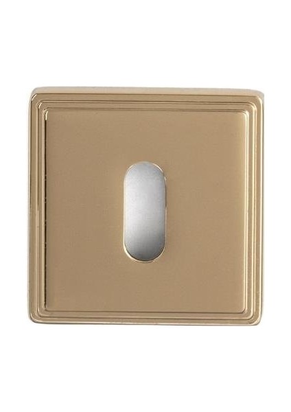 RO17 Kapı Kolu Rozeti Oda Mat Altın 53X53X10 mm