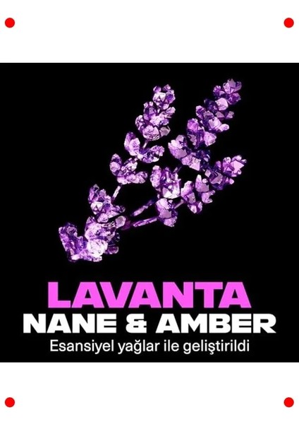 Erkek Sprey Deodorant Mavi Lavanta Kokulu (150 Ml) indirimleri