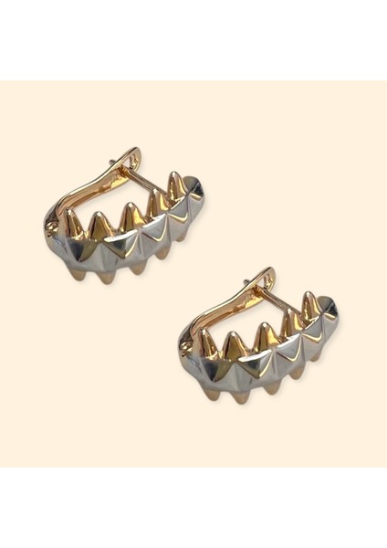 Elisa Çift Renk Çelik Küpe fiyatları