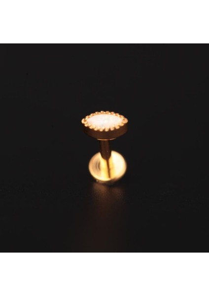 Yüksek Kalite G23 Titanium Opal Taşlı Markiz Çerçeve Zirkon Altın Titanyum 6x1.2mm Labret Piercing