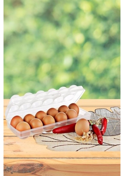 12LI Şeffaf Kapaklı Kilitli Yumurta Saklama Kabı Kutusu Aparatı indirimleri