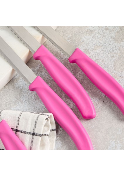Mira 6 Parça Dişli Meyve Bıçak Seti Fuşya fiyatları