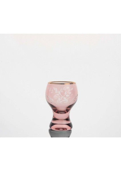 Molly 6lı Renkli Asorti Shot Bardak