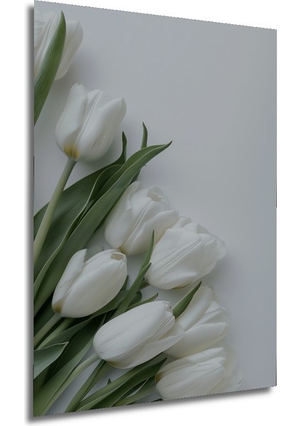 Beyaz Lale Yağlı Boya Görünümlü Dekoratif Ahşap Tablo Dikdörtgen Tablo fırsatları