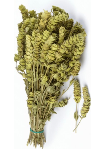 Adaçayı Demet ( Yeni Mahsül, Doğal Kurutulmuş, Elenmiş ) 25GR fiyatları