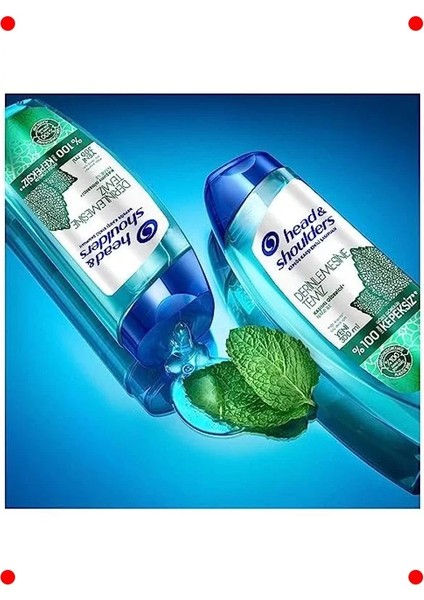 Nane Özlü Derin Temizlik Kaşıntı Giderici Şampuan 300ML fırsatları