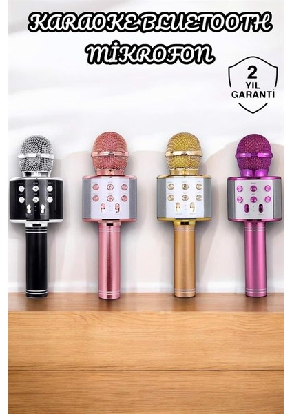 Şarjlı ve Uzun Pil Ömürlü Karaoke Mikrofon USB Bellek Destekli Profesyonel Ses - M394K938-R863 fiyatları