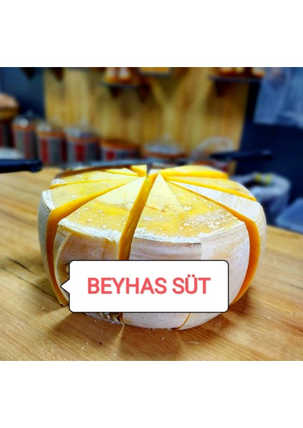 Tam Yağlı Eski Kaşar modelleri