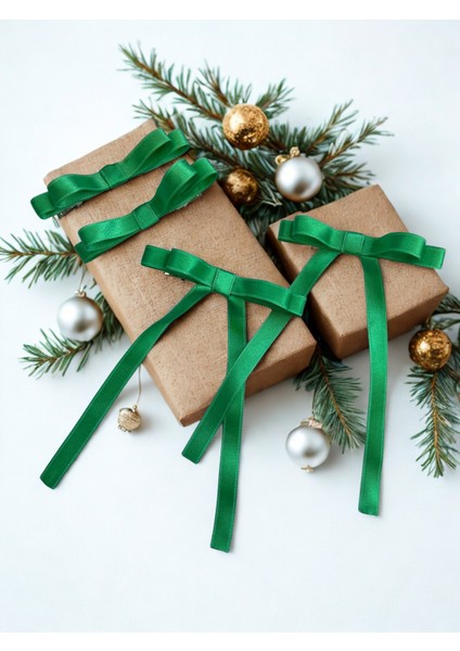 Yeşil Kurdele Toka Seti 4'lü fiyatları