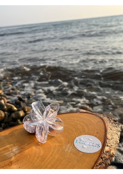 Şeffaf Günlük Kullanıma Uygun Lotus Toka fiyatları