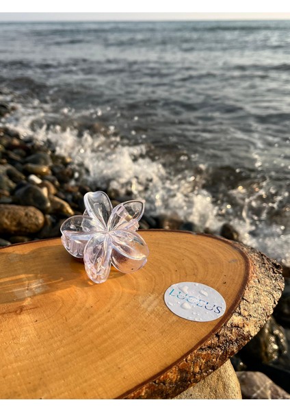 Şeffaf Günlük Kullanıma Uygun Lotus Toka modelleri