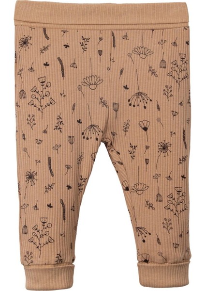 241073 Kız Bebek Kelsey Dantelli Badili 3'lü Takım fırsatları