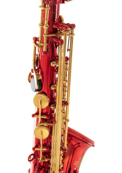 Roy Benson AS-202R Alto Saksafon modelleri