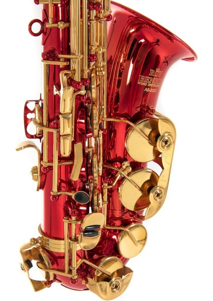 Roy Benson AS-202R Alto Saksafon fırsatları