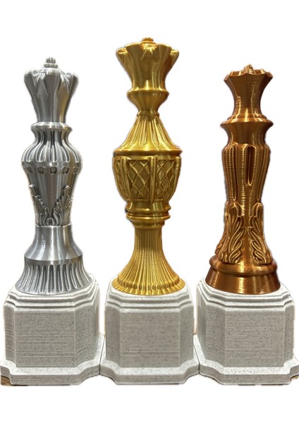 Isme Özel Satranç Gümüş Kupa, Gümüş Ödül Kupası modelleri