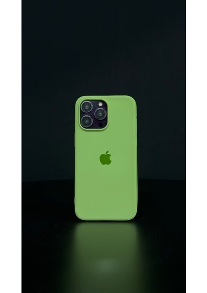 iPhone 11 Uyumlu Renkli Logo Içi Kadife Lüks Lansman Kılıf