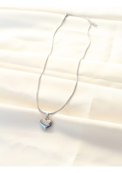 Bfs 316L Çelik Gümüş Renk Kalp Kolye fiyatları