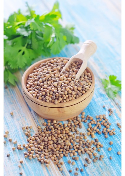 Kişniş Çekilmiş Toz Deluxe Seri Organik Lezzetli 250 gr modelleri