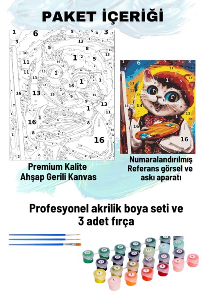 Büyükressamkedi fiyatları