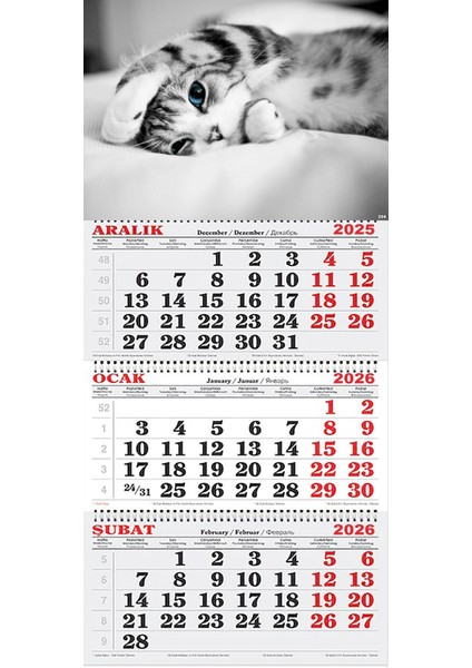 2026 Yılı Gemici Takvimi-Tatlı Kedi