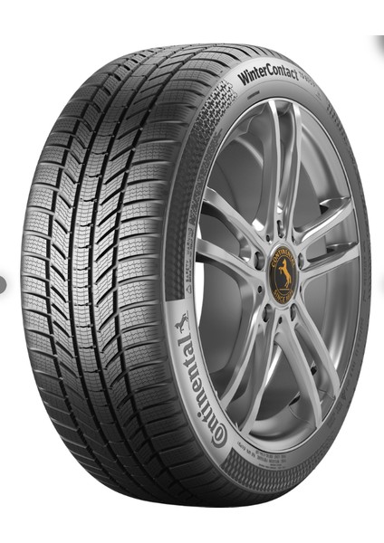 255/40R19 100V Xl TS870P Wınter Continental