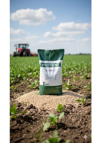 Protıent 6.16.6 + 6 So₃ 25 kg – Granül Kompoze Gübre | Denge Formülü, Yüksek Kaliteli Hammaddelerle Üretilmiştir modelleri