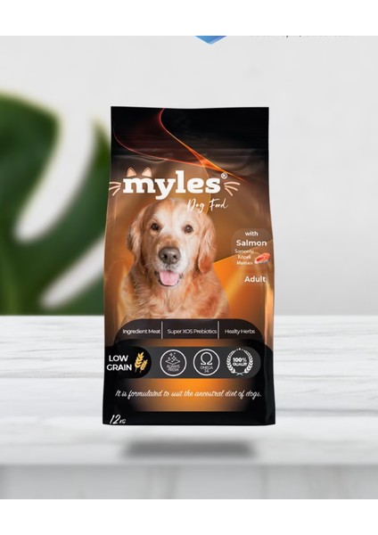 Somonlu Yetişkin Köpek Maması 12 kg